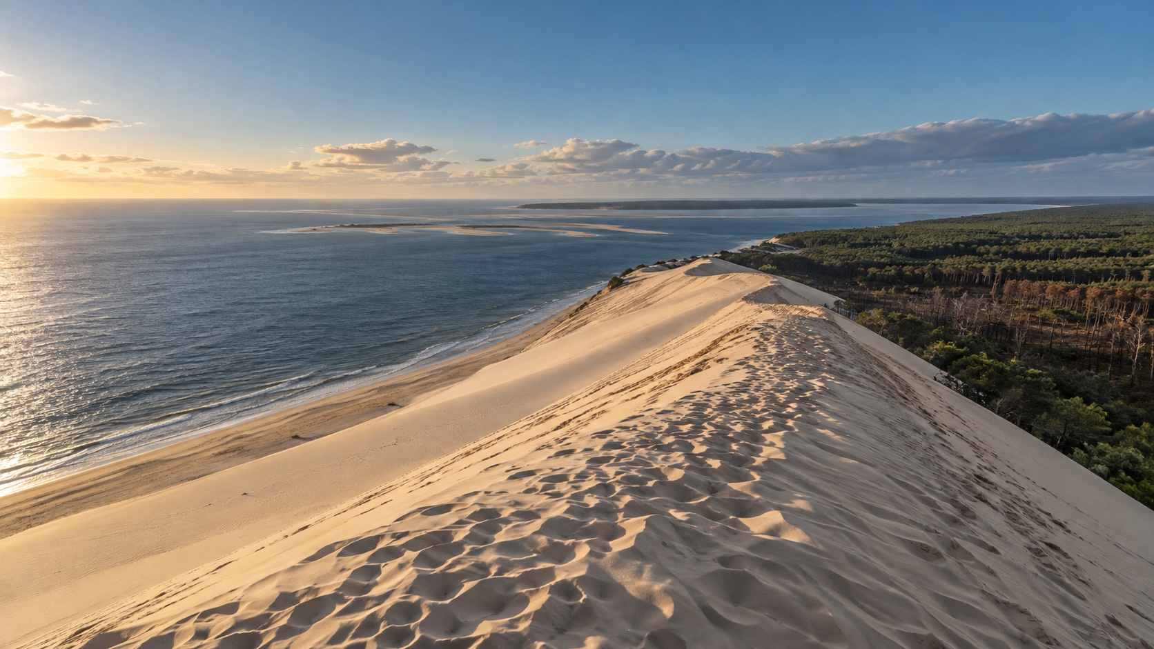 Vue photographique depuis la Dune du Pilat, entre océan Atlantique et forêt des Landes, avec de discrètes traces d’incendie